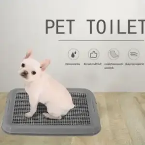 DUDUPETS ห้องน้ำสัตว์เลี้ยง ไซส์ S MXY014