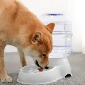 ชามให้น้ำสัตว์เลี้ยงอัตโนมัติ ความจุ 3.5 ลิตร รุ่น BP031