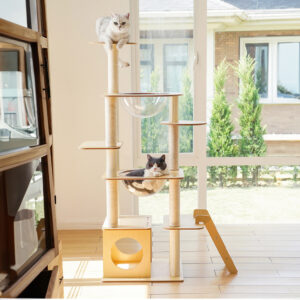 zeze Simple Frame คอนโดแมว